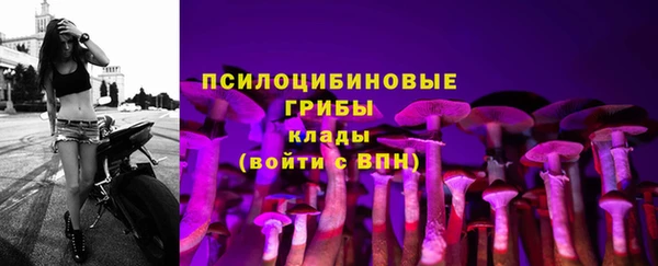 стаф Магадан
