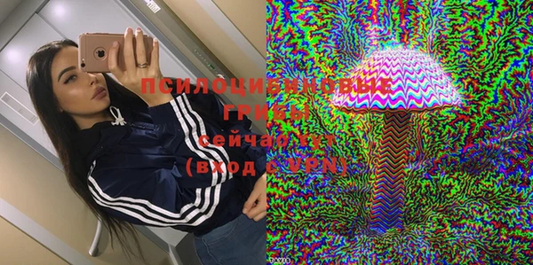 стаф Магадан