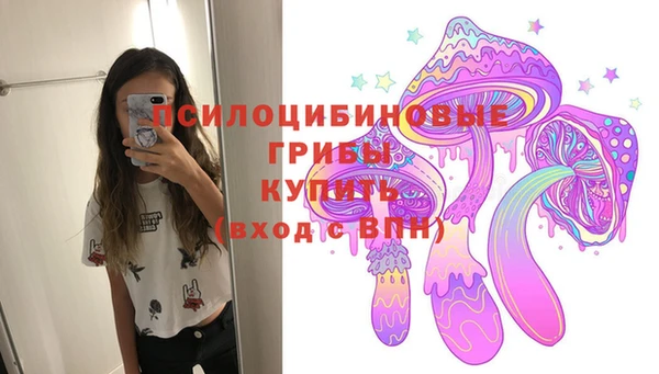 стафф Магас