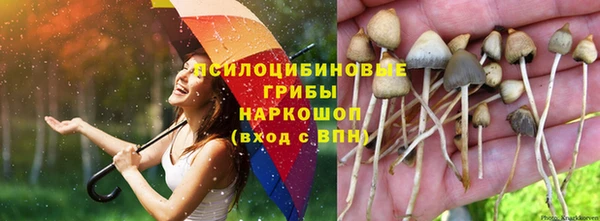 герыч Майский