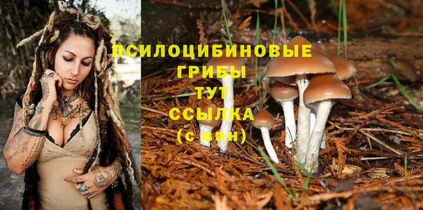 стафф Магас