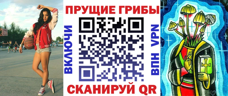 Купить где  Райчихинск  Псилоцибиновые грибы мицелий 