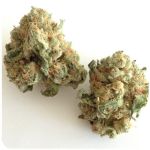 Шишки "White Widow"  (Белая вдова)  Гидропоника -  Бошка VHQ в Райчихинске