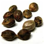 Семена марихуаны АК-47  (Seeds AK-47) в Райчихинске